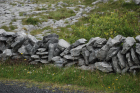 Stone walls and karst pavements and topography of the Burren approx 5km south of Ballyvaughan Co Clare Ireland. Exposures of the Dinantian Burren Limestone Formation are composed of shallow water carbonates. Note the clints (limestone blocks) and grikes (joints formed by Variscan folding (Coller, 1984) and fracturing) enlarged by Pleistocene disolution (Williams, 1966).